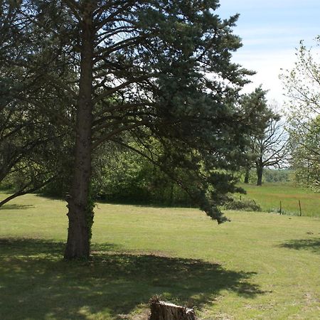 La Forestière Gite Le Pigeonnier Monclar-de-Quercy Extérieur photo